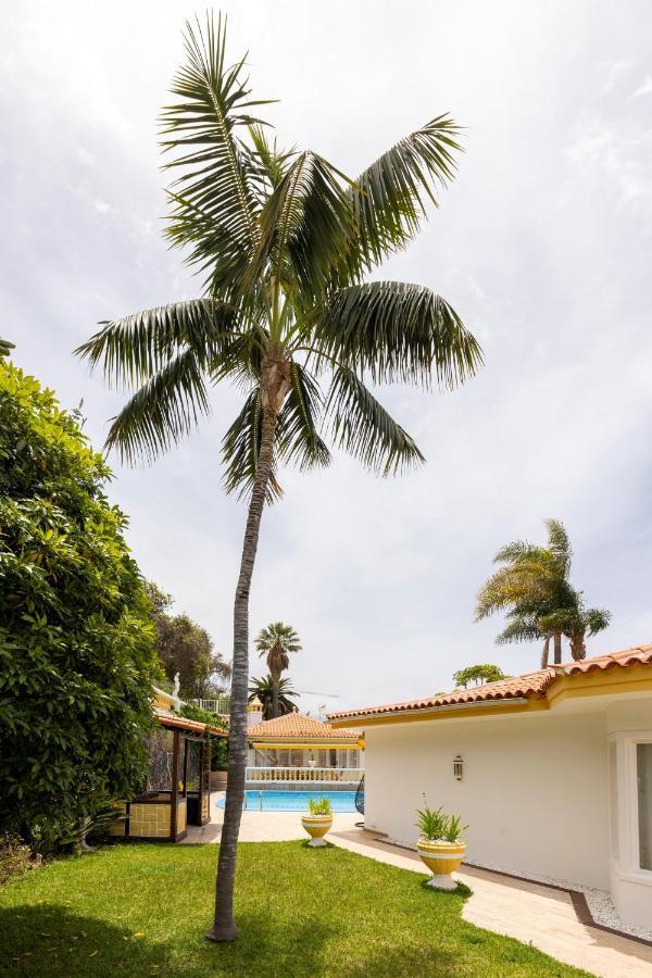 Balcon Del Teide Villa Ла Оротава Екстериор снимка